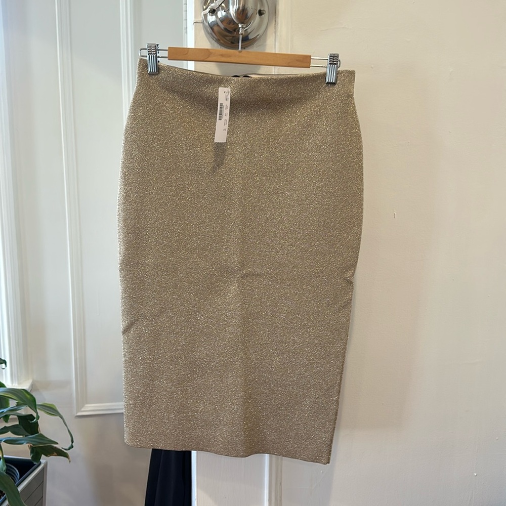 NWT jcrew metallic silver gold skirt